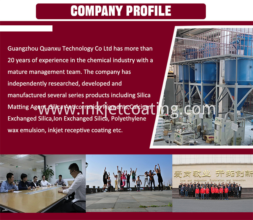 Company Profile